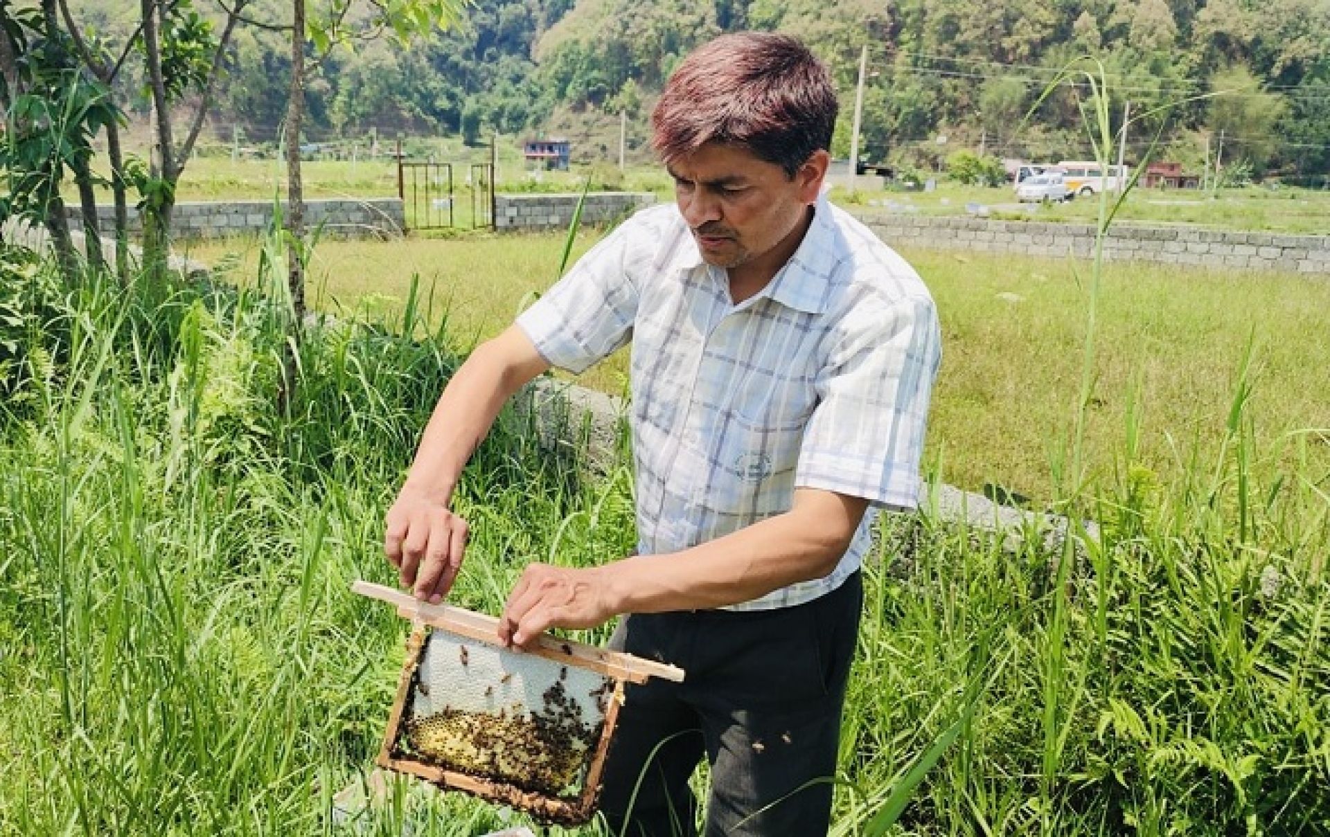 रोजगारी नपाएपछि मौरीघार उद्योग सञ्चालन गरेका सूर्यप्रसाद वार्षिक २५ लाख कमाउँछन्